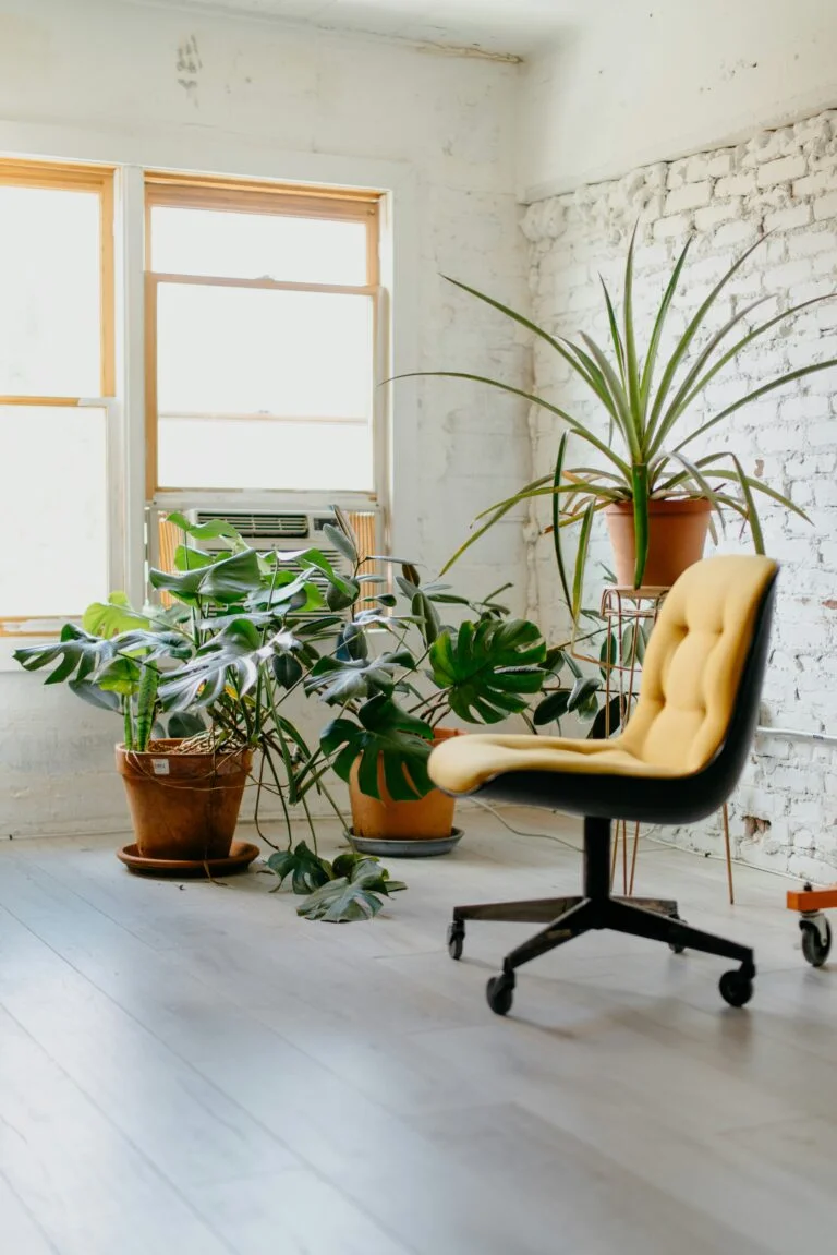 ron-mcclenny-9yI8eQ9mdvY-unsplash
